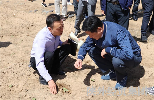 易彩堂官网-追求康健,你我一起生长